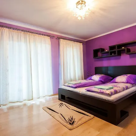 Transylvania Guest house 2*